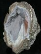 Crystal Filled Dugway Geode (Polished Half) #33165-1